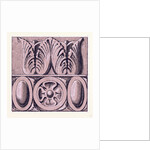 Renaissance Ornament by Anonymous