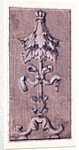 Renaissance Ornament by Anonymous