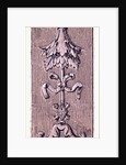 Renaissance Ornament by Anonymous