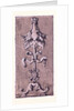 Renaissance Ornament by Anonymous