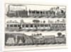 The London and Birmingham Railway Carriages by Anonymous