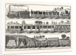 The London and Birmingham Railway Carriages by Anonymous