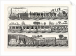 The London and Birmingham Railway Carriages by Anonymous