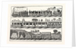 The London and Birmingham Railway Carriages by Anonymous