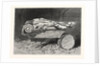 The Recovered Figure-Head of the Missing British Training-Ship Atalanta Sketched at St. Johns, Newfoundland by Anonymous