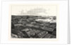 Chile: The Port of Valparaiso, Showing the Custom Houses, Dry Floating Dock, and Business Portion of the City by Anonymous