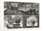New York: The Latest Achievement in American Steamship Architecture: The Newport, of the New York and Havana Line. by Anonymous