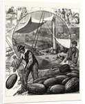 New York: Incidents of the Watermelon Trade in the Metropolis by Anonymous