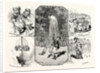 New York: The Semi-Centennial of Belgium's Independence, Festival of Belgian Residents at Jones's Wood by Anonymous