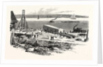 New York: The Removal of the Obelisk from the Foot of Ninety-Sixth Street to the Site in Central Park by Anonymous