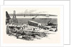 New York: The Removal of the Obelisk from the Foot of Ninety-Sixth Street to the Site in Central Park by Anonymous