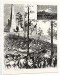 Centennial Celebration of the Battle of King's Mountain, October 7th: The Hon. John W. Daniel Delivering the Historical Oration. South Carolina by Anonymous