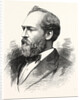 Hon. James A. Garfield, President-Elect of the United States by Anonymous