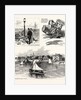 North Carolina: The Seaside School of the Johns Hopkins University of Baltimore, at Beaufort by Anonymous