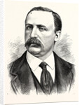 Henry J. Jackson, Superintendent of the Bureau of Emigration, Castle Garden by Anonymous