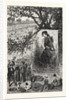 New Jersey: Preparing for the Thanksgiving Dinner, a Scene on a Cranberry Bog in Ocean County by Anonymous