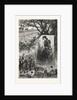 New Jersey: Preparing for the Thanksgiving Dinner, a Scene on a Cranberry Bog in Ocean County by Anonymous