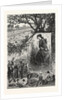 New Jersey: Preparing for the Thanksgiving Dinner, a Scene on a Cranberry Bog in Ocean County by Anonymous