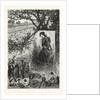 New Jersey: Preparing for the Thanksgiving Dinner, a Scene on a Cranberry Bog in Ocean County by Anonymous