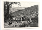California: Our National Industries: Grape-Culture in the Sonoma Valley by Anonymous