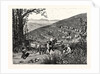 California: Our National Industries: Grape-Culture in the Sonoma Valley by Anonymous