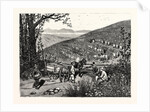 California: Our National Industries: Grape-Culture in the Sonoma Valley by Anonymous
