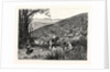 California: Our National Industries: Grape-Culture in the Sonoma Valley by Anonymous