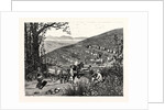 California: Our National Industries: Grape-Culture in the Sonoma Valley by Anonymous