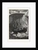In Search of the North Pole: The Exploring Steam Yacht Jeannette in the Ice Floes of the Arctic Ocean by Anonymous