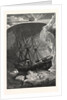 In Search of the North Pole: The Exploring Steam Yacht Jeannette in the Ice Floes of the Arctic Ocean by Anonymous