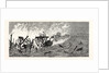 New Jersey: Threatened Destruction of the Iron Pier at Long Branch by Anonymous