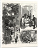 New York: The Fatal Fire in the Rear Tenement of No. 35 Madison Street by Anonymous