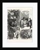 New York: The Fatal Fire in the Rear Tenement of No. 35 Madison Street by Anonymous