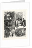 New York: The Fatal Fire in the Rear Tenement of No. 35 Madison Street by Anonymous