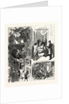 New York: The Fatal Fire in the Rear Tenement of No. 35 Madison Street by Anonymous