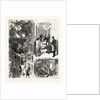New York: The Fatal Fire in the Rear Tenement of No. 35 Madison Street by Anonymous
