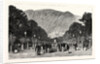 The War in South America: The Capital of Peru, View on the Alameda De Los Descalzos by Anonymous