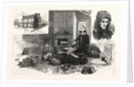 The Singular Story of Mary Hammell and Her Alleged Persecutor: Mrs. Allen's Remarkable Collections in the Texido Mansion, Flushing by Anonymous