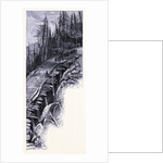 A Path on Mount Mansfield by Anonymous