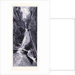 The Moss-Glen-Cascade by Anonymous