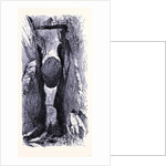 Flume Gorge by Anonymous