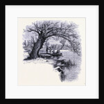 Boston Common Boston by Anonymous