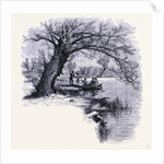 Boston Common Boston by Anonymous