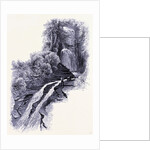 Silver Waterfall Sage's Ravine by Anonymous