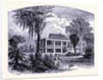 A House Near the Mississipi by Anonymous