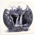 The Black River Near Elyzia by Anonymous