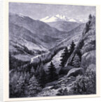 Gray's Peak by Anonymous