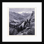 Gray's Peak by Anonymous