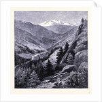 Gray's Peak by Anonymous