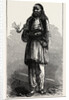 Albanian Peasant, Albania by Anonymous